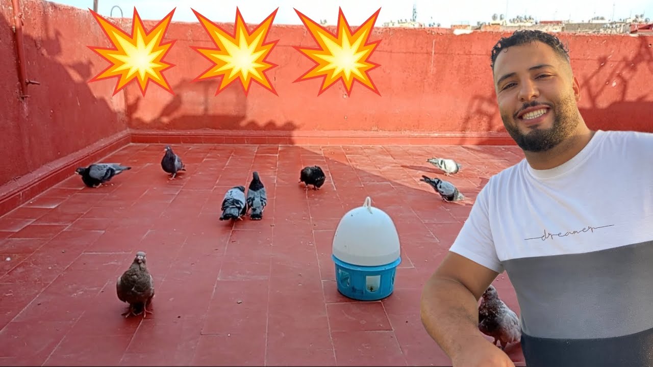 وأخيرا الفيديو اللي كيستناه الجميع💥💥 طلقت الحمام كااااامل 😱😱😱