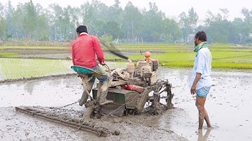 Paddy rice field leveling with aci power tiller machine | Power tiller machine video |