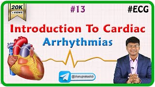 13. Introduction To Cardiac Arrhythmias  - ECG assessment and ECG interpretation made easy