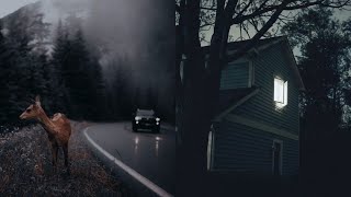 rainy night in Forks | twilight aesthetic