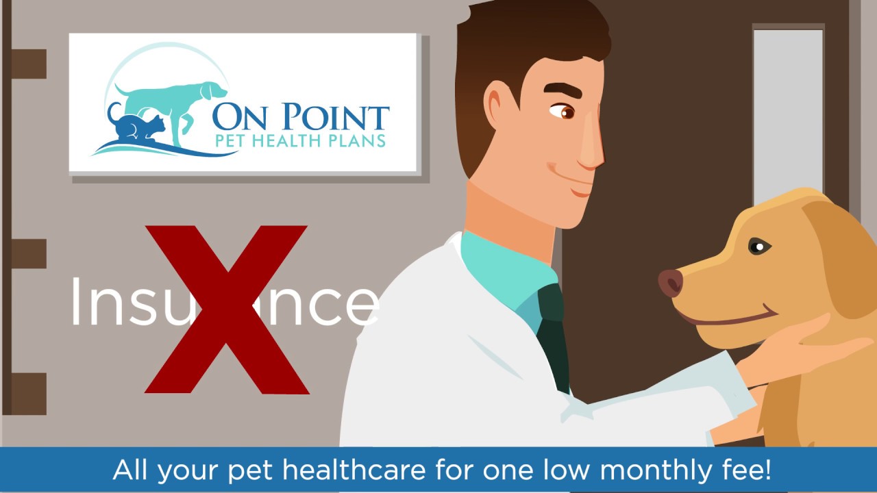 Pet Medical Center | Animated Marketing Video by Gisteo