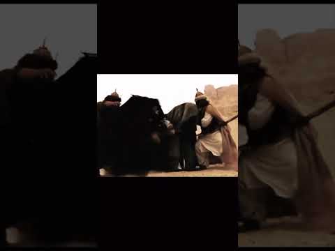 ستوريات ياعلي يوليدي ياعلي ياضامن المي ونتة ماي