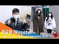 코요태 Koyote 워워워 워워워 신나는 발걸음 비디오스타 NewsenTV