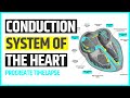 The Anatomy and Conduction System of the Heart | Procreate Timelapse | Art and Anatomy | Jennmedart