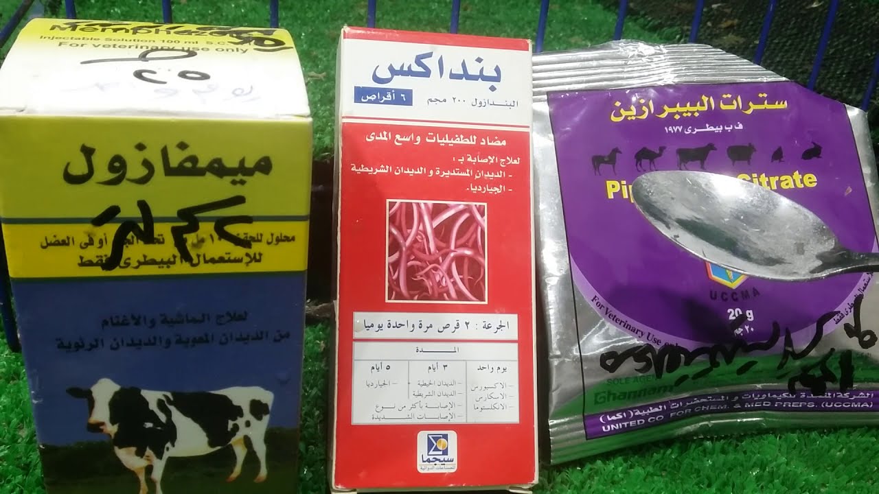 اقوى مقارنة بين ادوية الديدان الحمام سترات الببرازين بنداكس ميمفازول