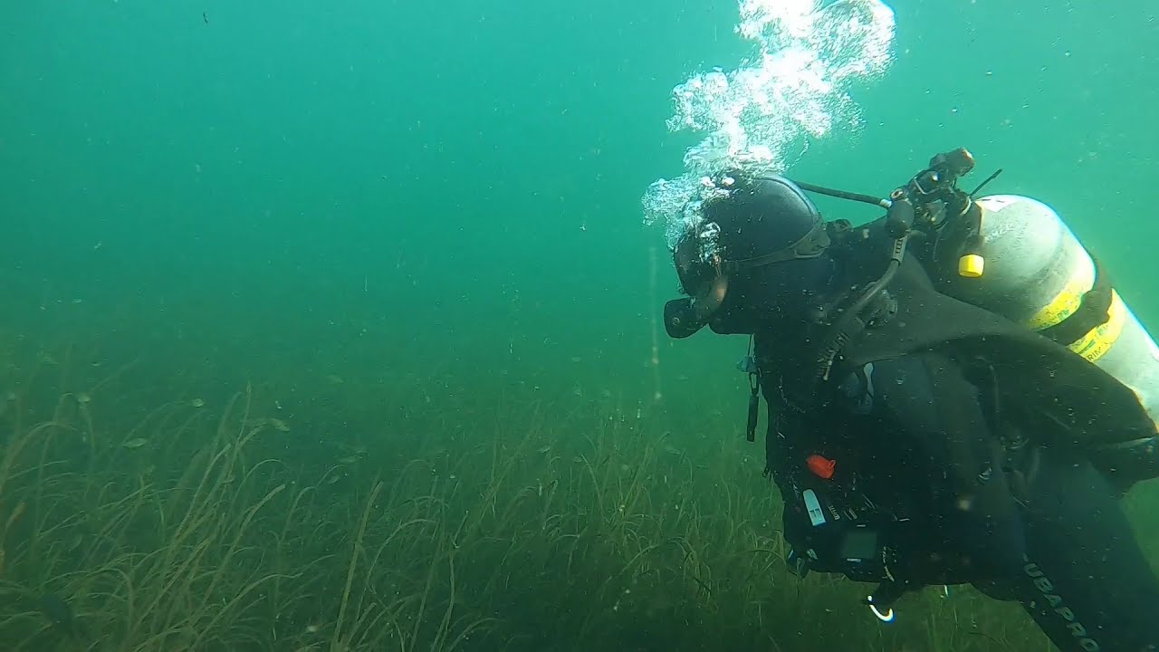 Diving Edmonds Underwater Park Oct 13, 2020 YouTube