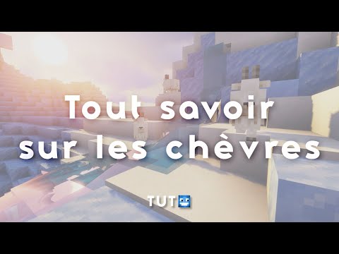 Vidéo: Des chèvres ont-elles été ajoutées à minecraft ?