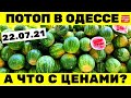 Цены после ПОТОПА / Обзор цен на продукты в Одессе 22.07.2021 / Рынок Початок ОПТ и РОЗНИЦА