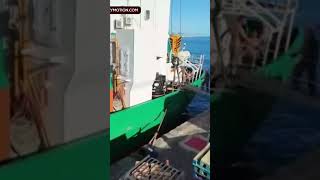17 Pinoy seafarers detained in Spain after historic 30-ton cocaine haul bust near Canary Islands