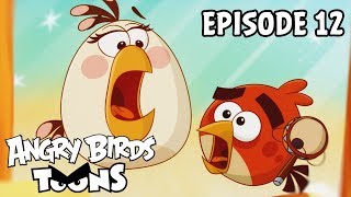 Angry Birds Toons | Happy Hippy - S3 Ep12