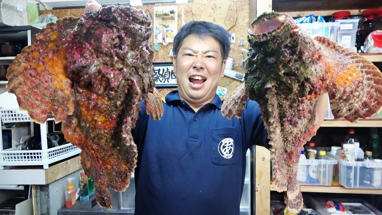 超危険】最強猛毒魚を捌いて食べてみた！！ - YouTube