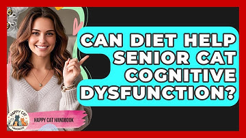 Can Diet Help Senior Cat Cognitive Dysfunction? - Happy Cat Handbook