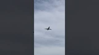 FlexJet ERJ-300LR Phenom taking off at Boca Raton Airport