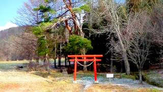 『 隠れ里 』 の森 ~ (岩手 葛巻町) 『 隠れ里 』 の森 ~ (岩手 葛巻町)