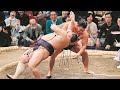 🔥🤯【大相撲・千秋楽前夜】優勝争いがカオス!6力士にVの可能性✨⚔️ 安青錦&熱海富士が3敗首位、大の里ら4敗勢が猛追🚀🏆