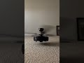 fan fall down 👇