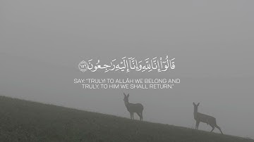 ولنبلونكم بشيء من الخوف والجوع //القارئ طارق محمد