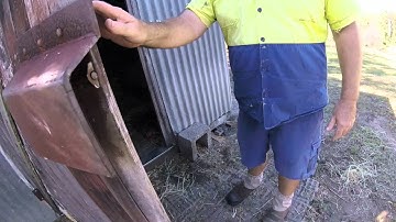 carpet python in coomera