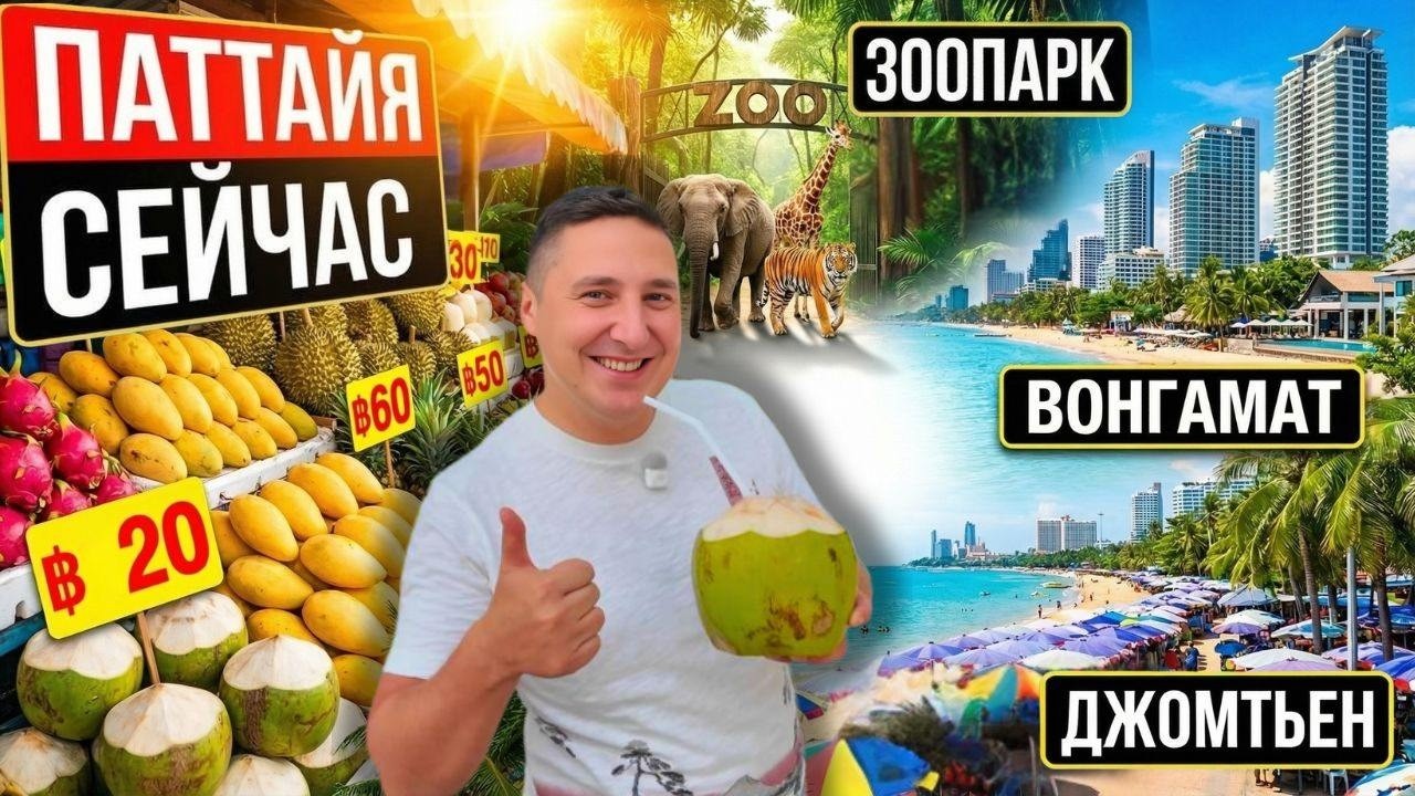 ПАТТАЙЯ СЕЙЧАС - ДЖОМТЬЕН И ВОНГАМАТ, ЗООПАРК КХАО КХЕО, ЦЕНЫ НА ФРУКТЫ В ТАИЛАНДЕ 2026