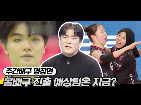 | <strong>주간배구</strong>