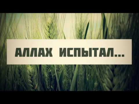 Аллах испытал... || Абу Яхья Крымский . Стихотворение Аль-Хаиййа