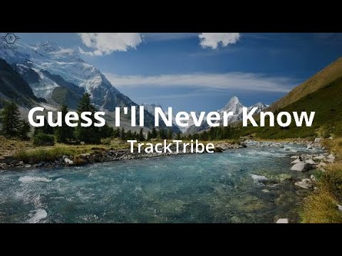 TrackTribe - Guess I'll Never Know (Lyrics)