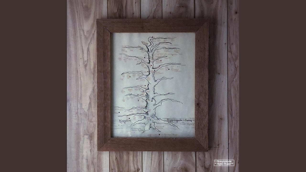 Watch PINEYWOODS on YouTube Watch PINEYWOODS on YouTube