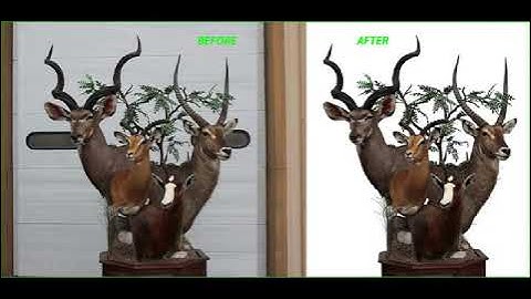 Cut out or remove background 15 images professionally - Best Photoshop Editing service