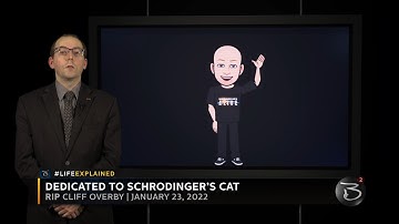 B Squared 1x08: Current Events Special Edition - Frauditors and Sovcits (Part 1)