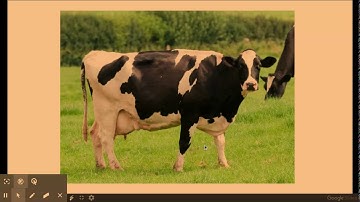 6.1.2. Patterns of inheritance h) Artificial selection and selective breeding