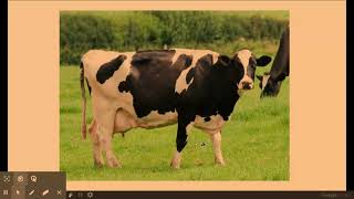 6.1.2. Patterns of inheritance h) Artificial selection and selective breeding