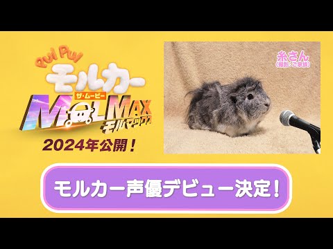 2024年公開『PUI PUI モルカー ザ・ムービー MOLMAX』新モルカー
