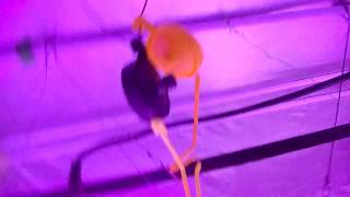 Support for 420 plants in Grow Tents