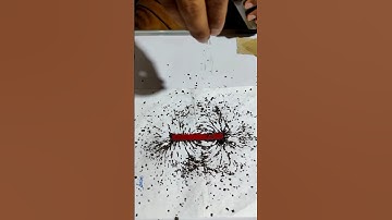 Plotting magnetic field lines around a bar magnet#ncert|cbse#physicsexperiment#practical