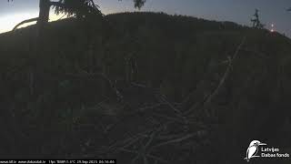 J E20250929 061550EaglesSingNearby