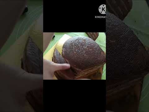 أسهل طريقة لتقطيع قالب دائرة على شكل قلب  اكسبلور   