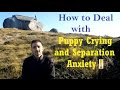 How to Deal With Puppy Crying and Separation Anxiety - Dog Training Nibbles Ep8 How to Deal With Puppy Crying and Separation Anxiety - Dog Training Nibbles Ep8