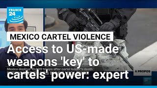 Access to US-made weapons 'a key element' of Mexican cartels' power, expert says • FRANCE 24