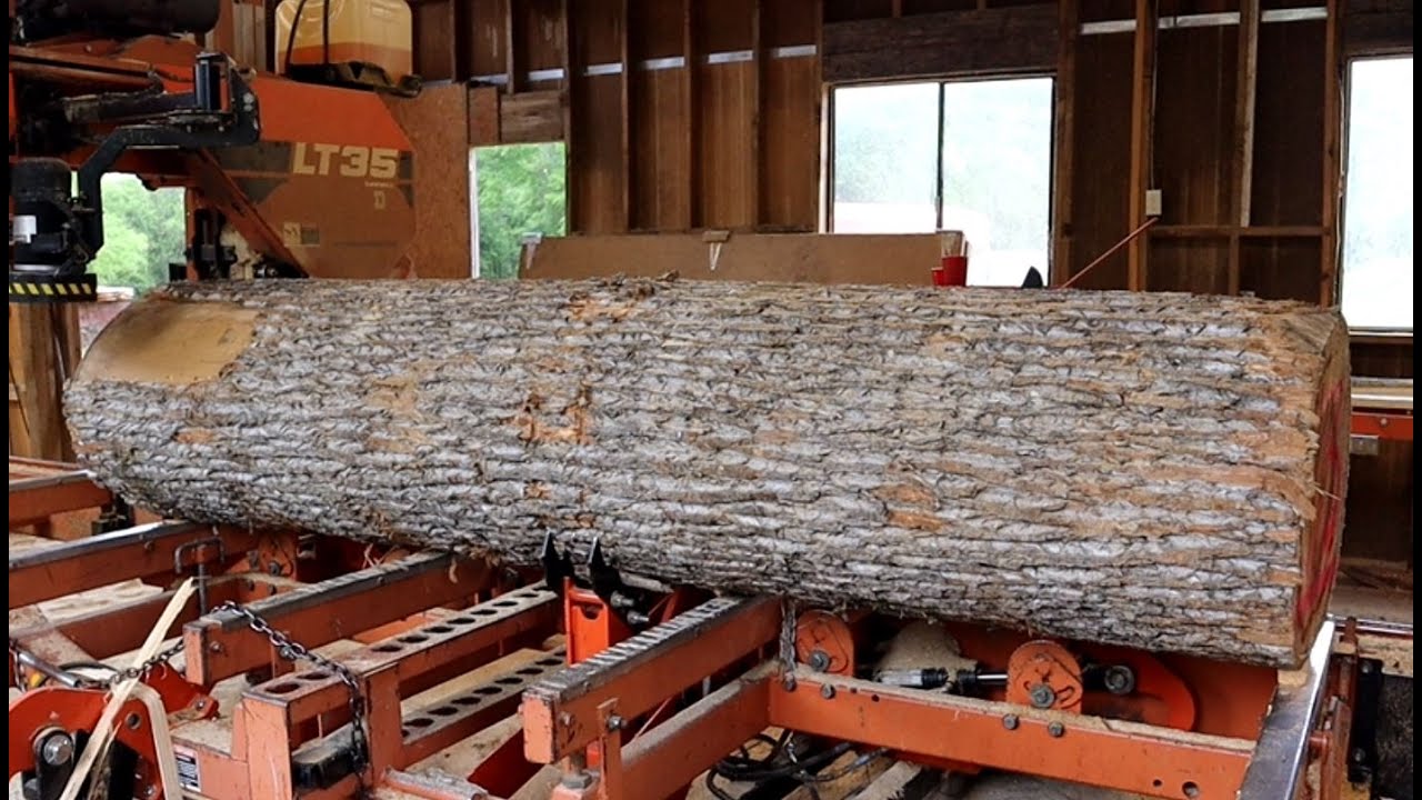 1x12 TULIP POPLAR, THE BEST MILLING WOOD YouTube