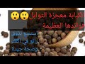 توابل الكبابة فوائدها وقيمتها الغذائية وطريقة استخدامها 