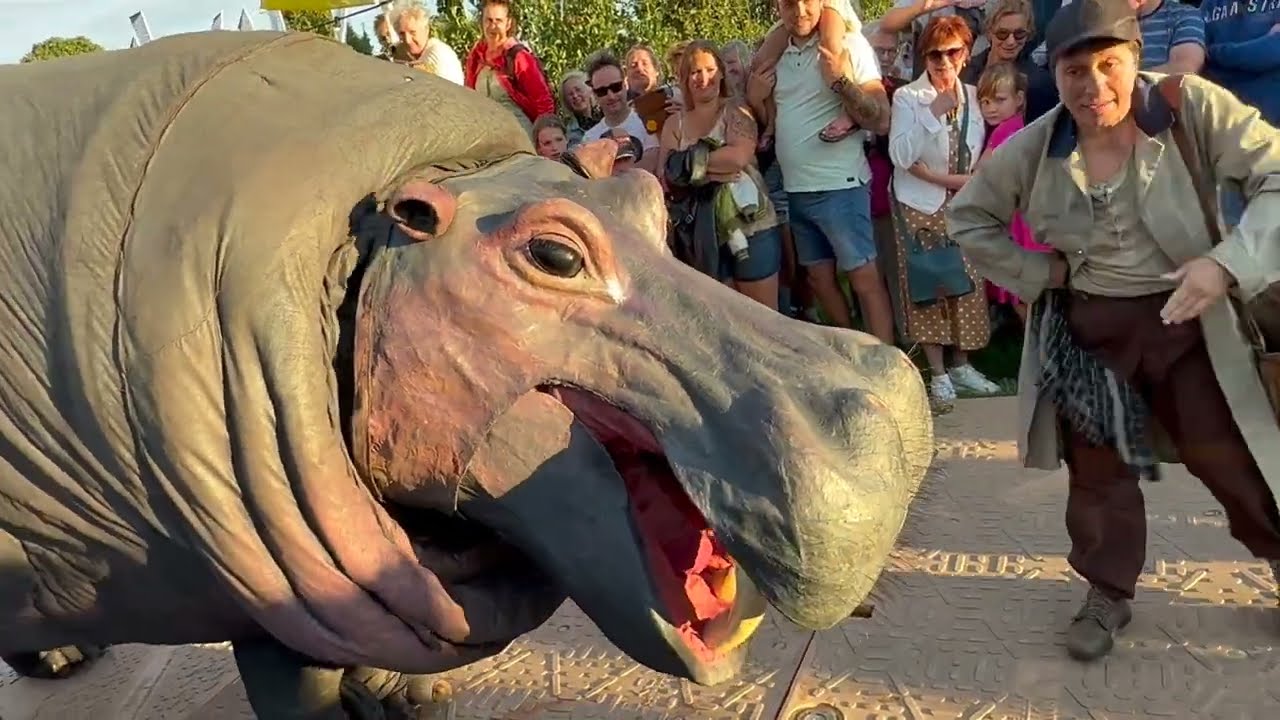 Wandelen met Antoinette#29 Heuvelland  4 daagse2023