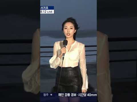 강한 바람 속에서도 흔들리지 않는 기상 리포터 #기상 #프로정신 #현장