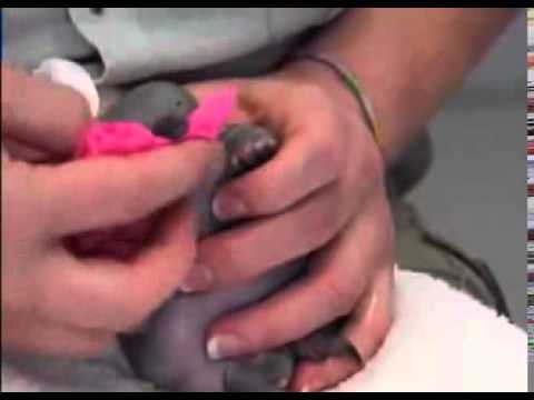 Видео: Когато имате бръчки и новородено