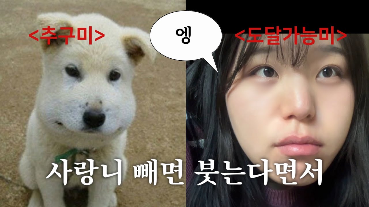 사랑니 4개 발치하고 저스트댄스 추는 사람