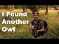 Yay! I found another owl... A photography vlog.