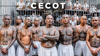 Inside CECOT The Prison Built to Make Gangsters Disappear