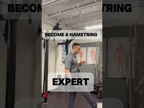 Become a Hamstring Expert in just over 60 seconds!