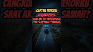 Teror Kakek Cangkul di Pinggir Sawah #ceritahoror #retaksunyi #kakekcangkul #shorthoror #terorhantu