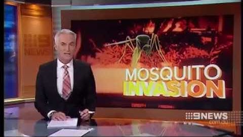 Mosquito Invasion