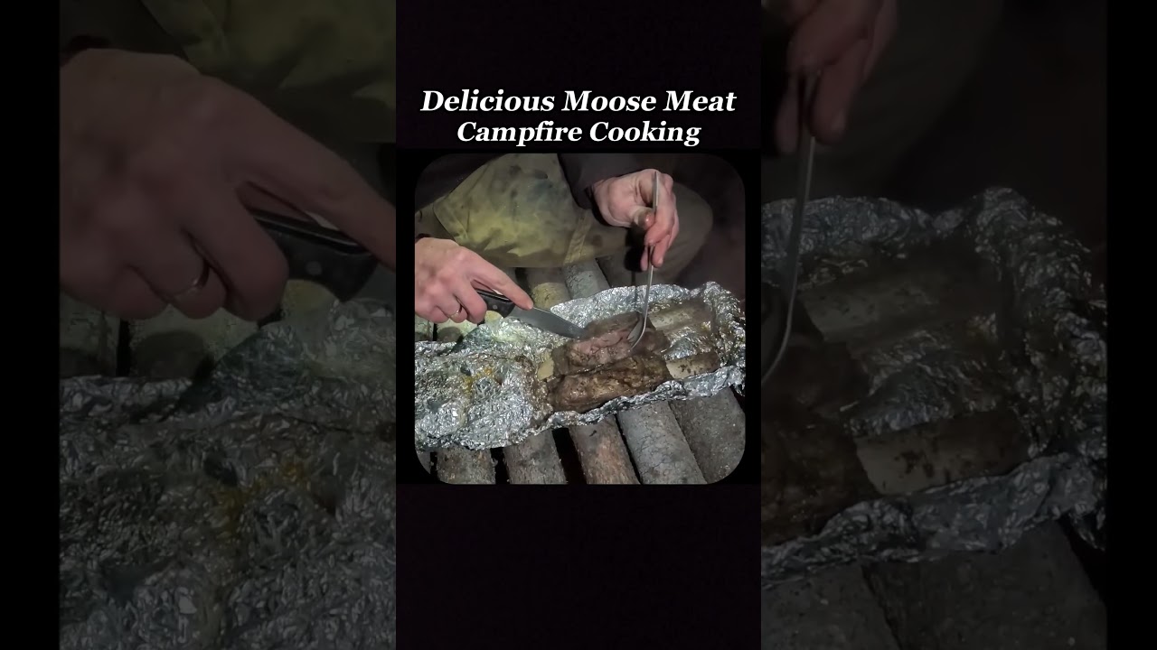 Outdoor Boys Cooking Moose Meat. 